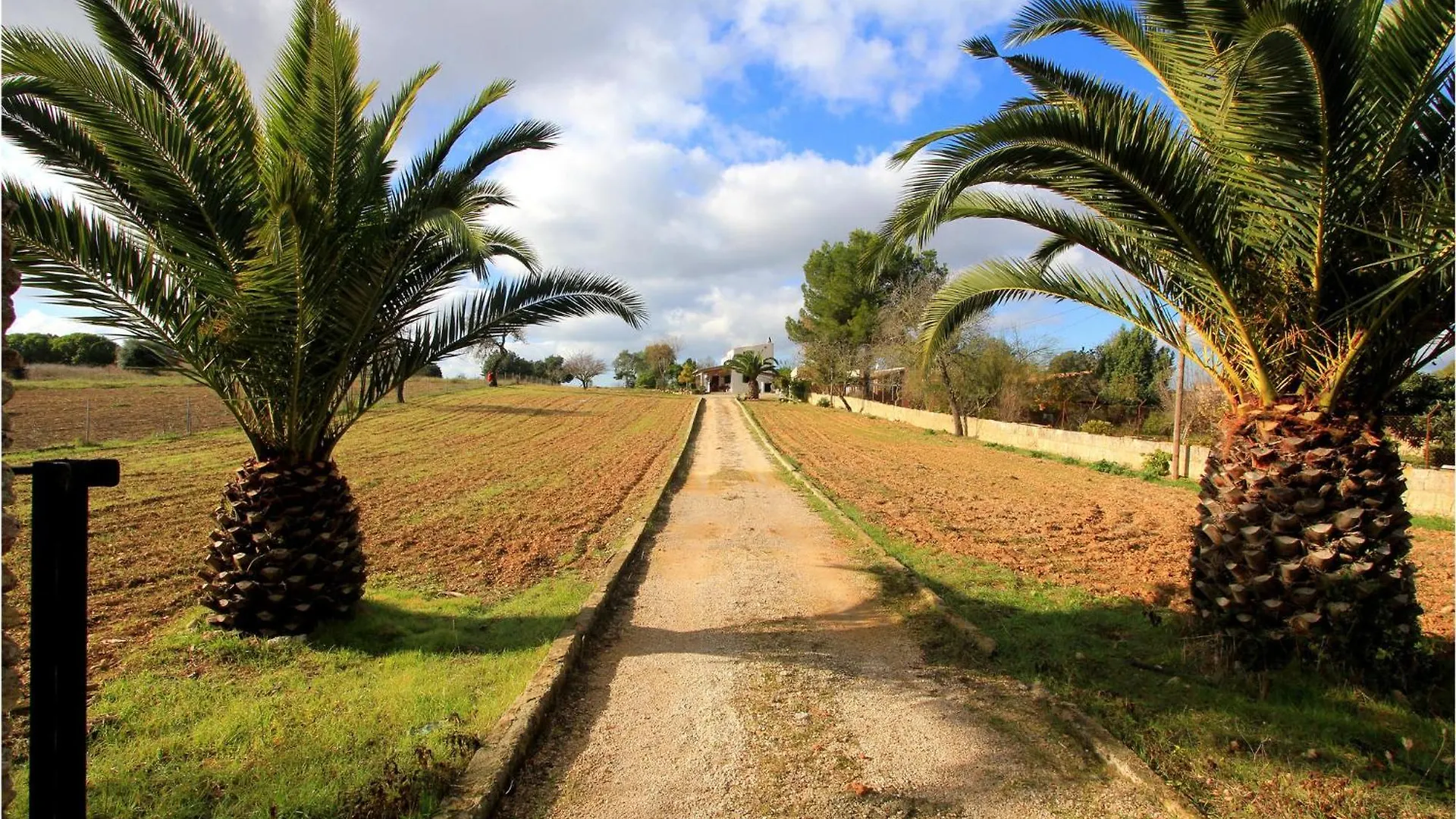 Cozy Home In Algaida With Outdoor Swimming Pool Holiday home Algaida (Mallorca)